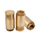 صمام فحص سفلي