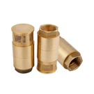 صمام فحص سفلي